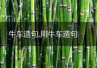 牛车造句,用牛车造句