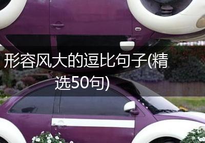 形容风大的逗比句子(精选50句)