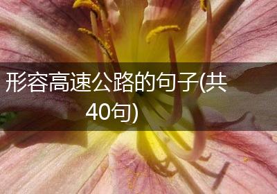 形容高速公路的句子(共40句)