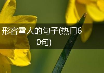 形容雪人的句子(热门60句)