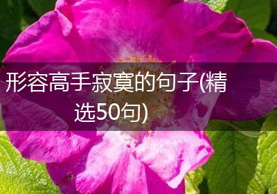 形容高手寂寞的句子(精选50句)