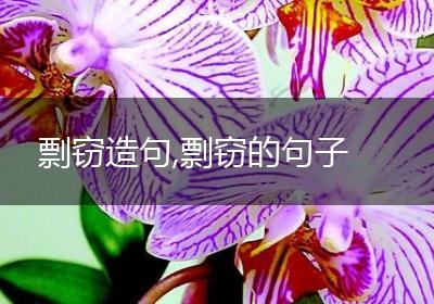 剽窃造句,剽窃的句子