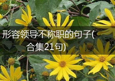 形容领导不称职的句子(合集21句)