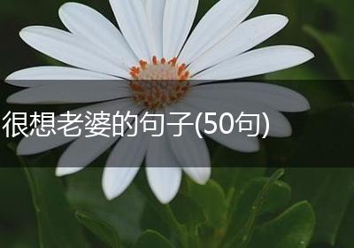 很想老婆的句子(50句)