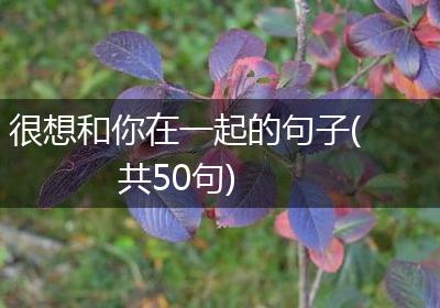 很想和你在一起的句子(共50句)