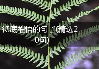 彻底醒悟的句子(精选20句)