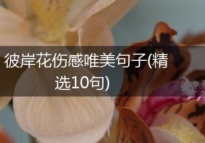 彼岸花伤感唯美句子(精选10句)
