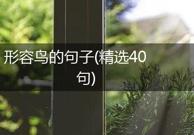 形容鸟的句子(精选40句)