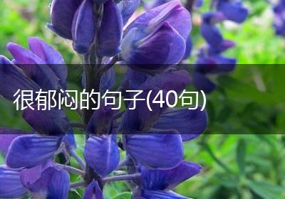 很郁闷的句子(40句)