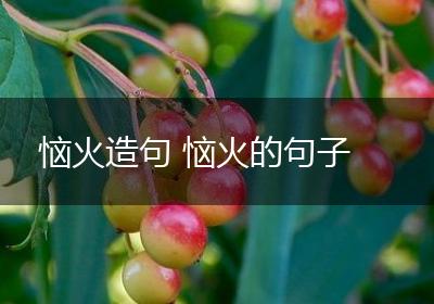 恼火造句 恼火的句子
