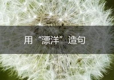 用“漂洋”造句