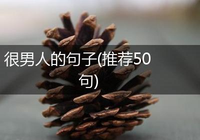 很男人的句子(推荐50句)