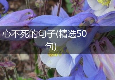 心不死的句子(精选50句)