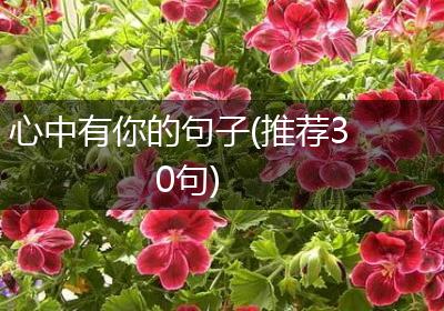 心中有你的句子(推荐30句)