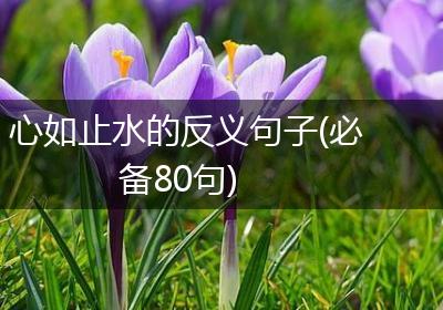 心如止水的反义句子(必备80句)
