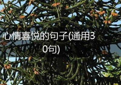 心情喜悦的句子(通用30句)