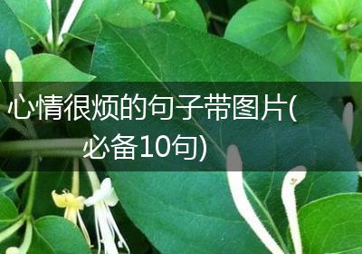 心情很烦的句子带图片(必备10句)