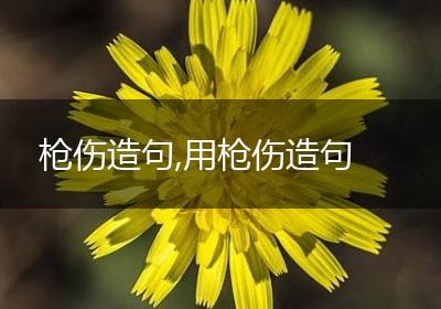枪伤造句,用枪伤造句