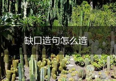 缺口造句怎么造