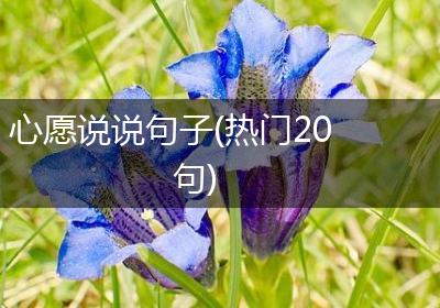 心愿说说句子(热门20句)