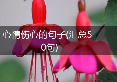 心情伤心的句子(汇总50句)