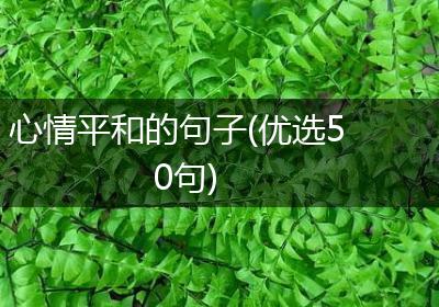 心情平和的句子(优选50句)