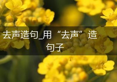 去声造句_用“去声”造句子
