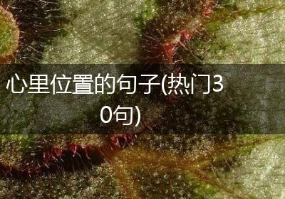 心里位置的句子(热门30句)