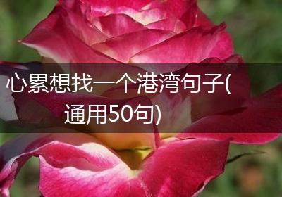 心累想找一个港湾句子(通用50句)