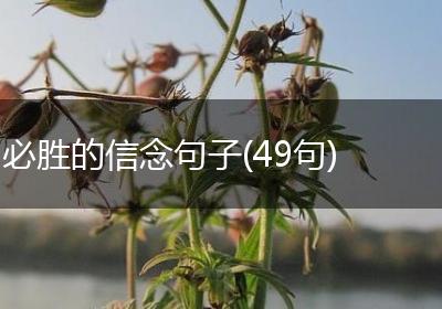 必胜的信念句子(49句)