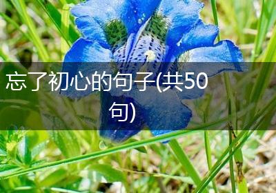 忘了初心的句子(共50句)