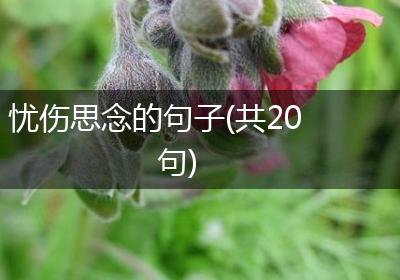 忧伤思念的句子(共20句)