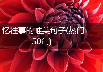 忆往事的唯美句子(热门50句)