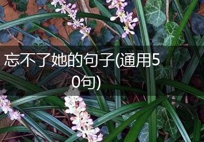忘不了她的句子(通用50句)