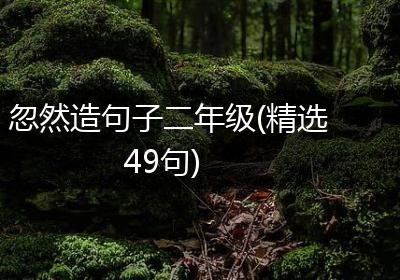 忽然造句子二年级(精选49句)