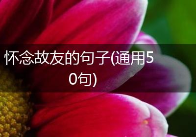怀念故友的句子(通用50句)