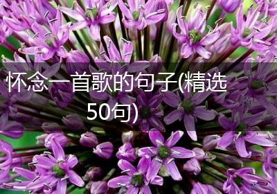 怀念一首歌的句子(精选50句)