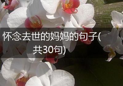 怀念去世的妈妈的句子(共30句)