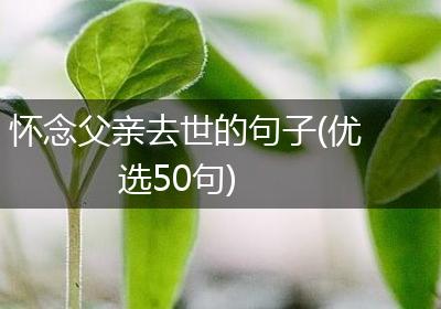怀念父亲去世的句子(优选50句)