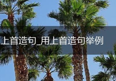上首造句_用上首造句举例