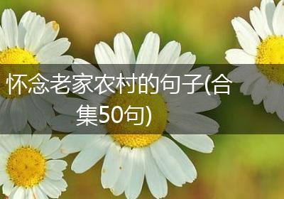 怀念老家农村的句子(合集50句)