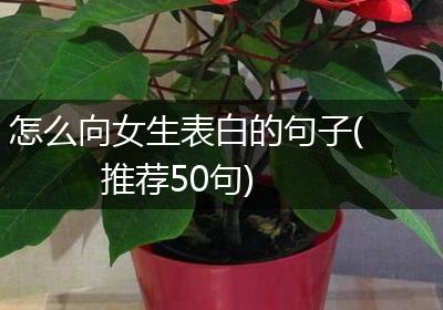 怎么向女生表白的句子(推荐50句)