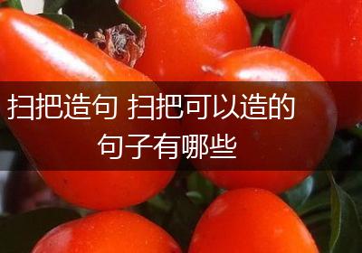 扫把造句 扫把可以造的句子有哪些