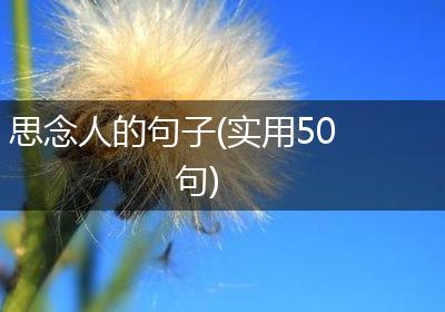 思念人的句子(实用50句)