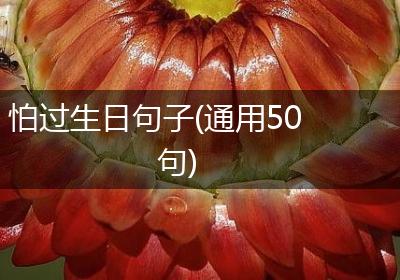 怕过生日句子(通用50句)