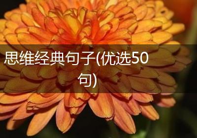 思维经典句子(优选50句)