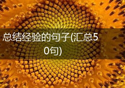 总结经验的句子(汇总50句)