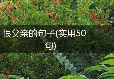 恨父亲的句子(实用50句)