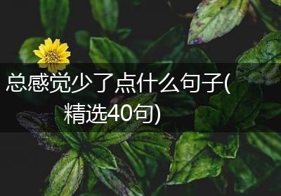 总感觉少了点什么句子(精选40句)