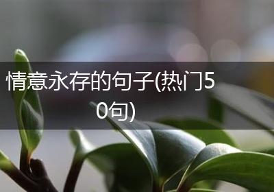 情意永存的句子(热门50句)